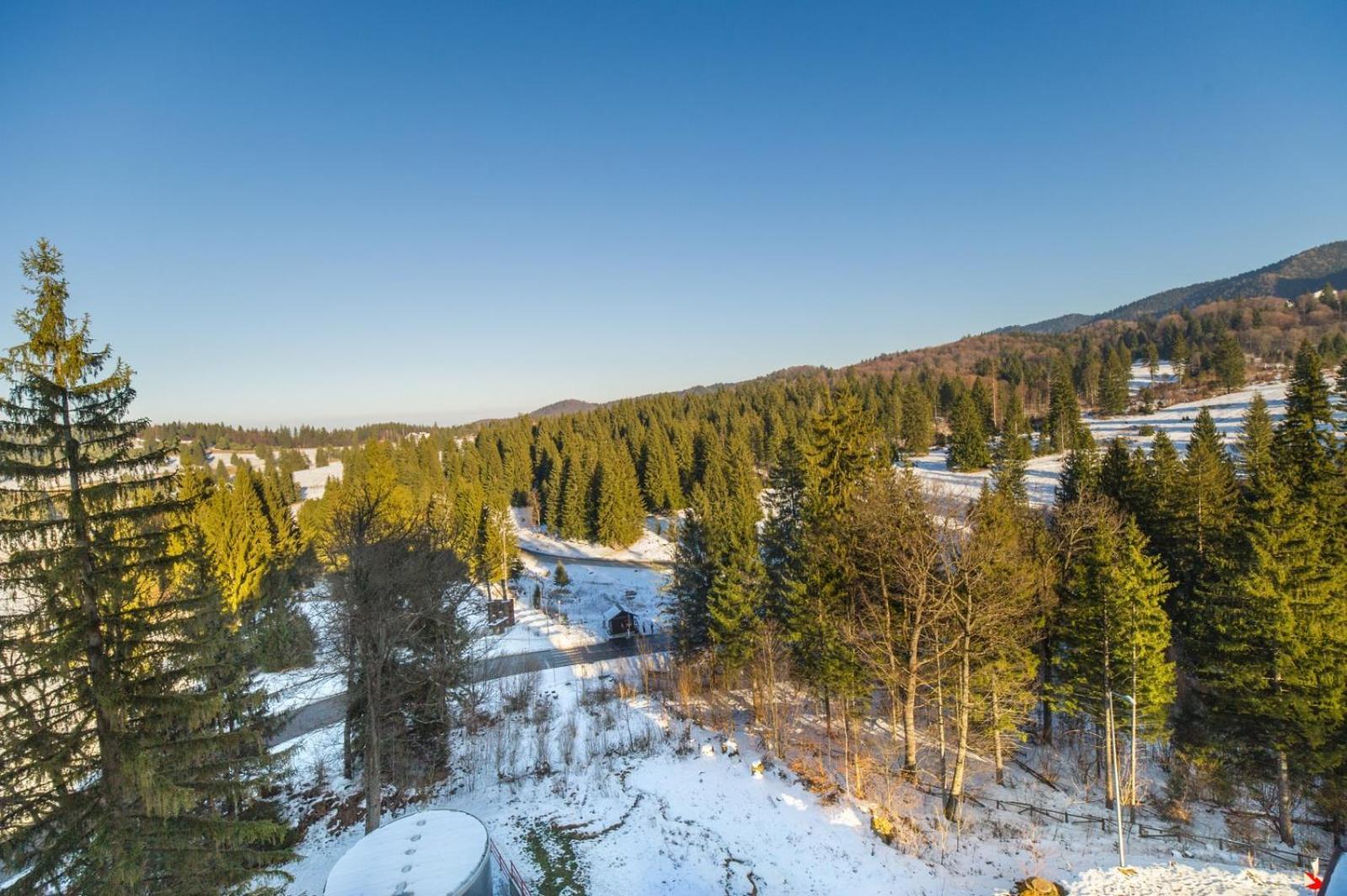 Pine Woods Apartment A27 In Silver Mountain Poiana Brasov Eksteriør bilde